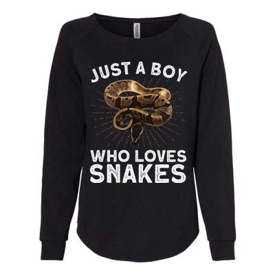 Funny Snake Art Reptile Animal Snake Lover Womens California Wash Sweatshirt