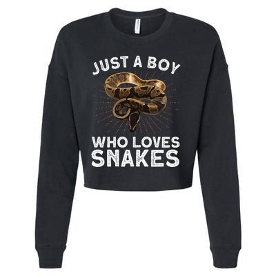 Funny Snake Art Reptile Animal Snake Lover Cropped Pullover Crew