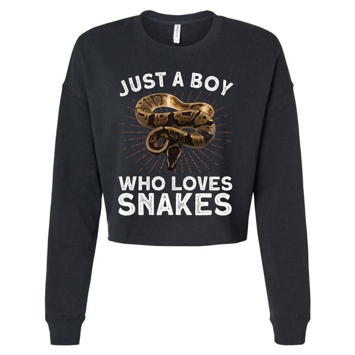 Funny Snake Art Reptile Animal Snake Lover Cropped Pullover Crew