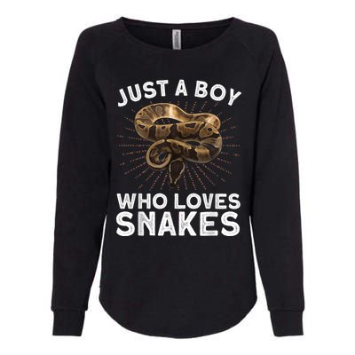 Funny Snake Art For Boy Kids Men Reptile Animal Snake Lover Womens California Wash Sweatshirt