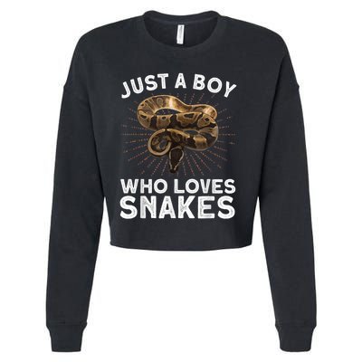 Funny Snake Art For Boy Kids Men Reptile Animal Snake Lover Cropped Pullover Crew