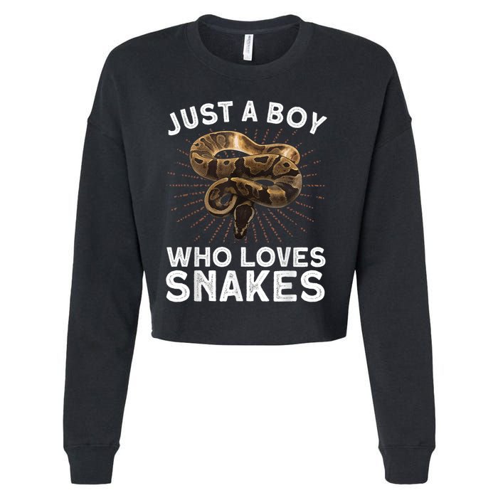 Funny Snake Art For Boy Kids Men Reptile Animal Snake Lover Cropped Pullover Crew