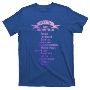 Fibromyalgia Spoonie And Fibro Awareness This Is My Flare Day Gift T-Shirt