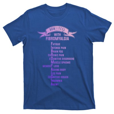 Fibromyalgia Spoonie And Fibro Awareness This Is My Flare Day Gift T-Shirt