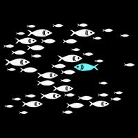 Fish Swim Against The Current In The Sea Apron