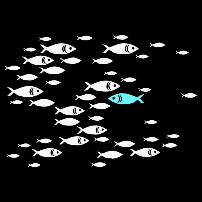 Fish Swim Against The Current In The Sea Apron