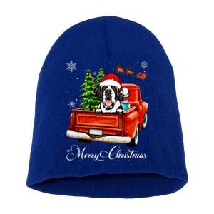 Funny Saint Bernard Ride Red Truck Merry Christmas Pajama Short Acrylic Beanie