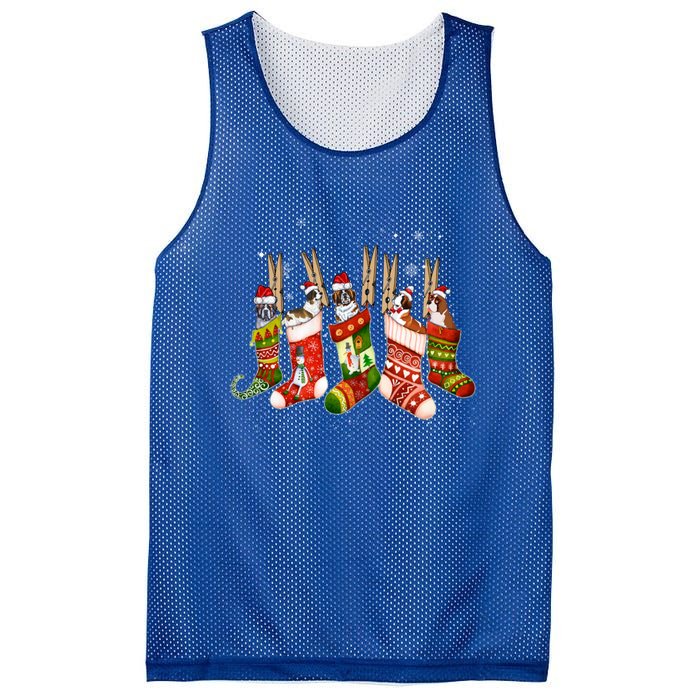 Funny Saint Bernard Dog In Christmas Sock Santa Hat Xmas Dog Cool Gift Mesh Reversible Basketball Jersey Tank