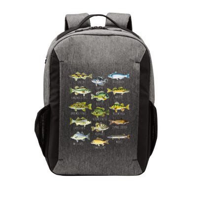 Fish Species Biology Types Of Freshwater Fish Fishing Vector Backpack