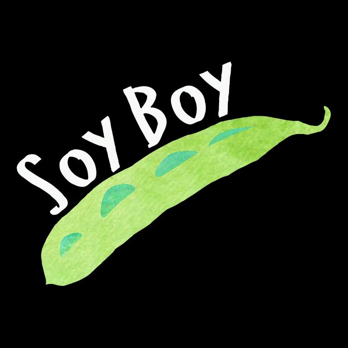 Funny Soy Boy Liberal Vegan Vegetarian Bucket Hat
