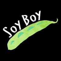 Funny Soy Boy Liberal Vegan Vegetarian Wool Snapback Cap