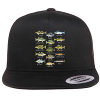 Fish Species Biology Types Of Freshwater Fish Fishing Flatbill Hat
