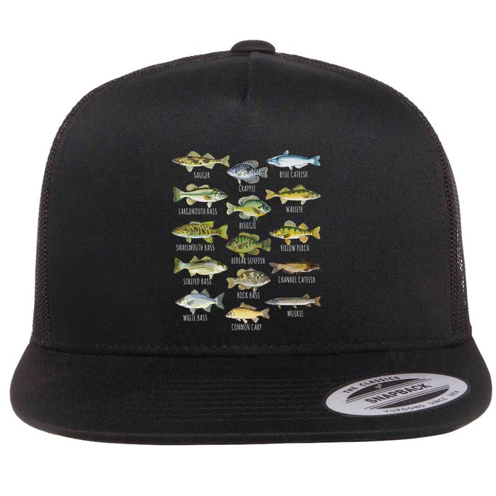 Fish Species Biology Types Of Freshwater Fish Fishing Flatbill Hat