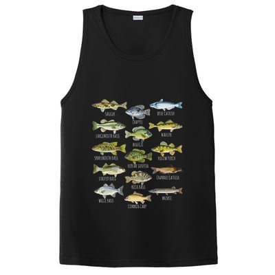 Fish Species Biology Types Of Freshwater Fish Fishing PosiCharge Competitor Tank