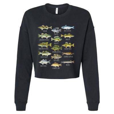 Fish Species Biology Types Of Freshwater Fish Fishing Cropped Pullover Crew