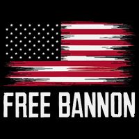Free Steve Bannon Cropped Pullover Crew