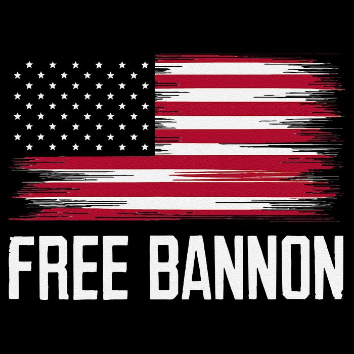 Free Steve Bannon Cropped Pullover Crew