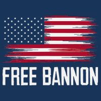 Free Steve Bannon Crop Top