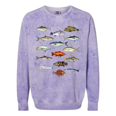 Fish Species Biology Types Of Saltwater Fish Fishing Colorblast Crewneck Sweatshirt