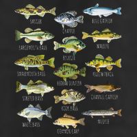 Fish Species Biology Types Of Freshwater Fish Fishing Hat