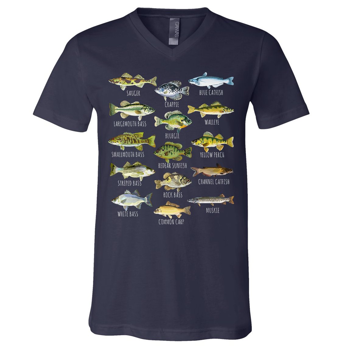 Fish Species Biology Types Of Freshwater Fish Fishing V-Neck T-Shirt