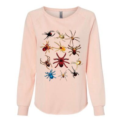 Funny Spiders Cute Halloween Scary Spiders Gift Womens California Wash Sweatshirt