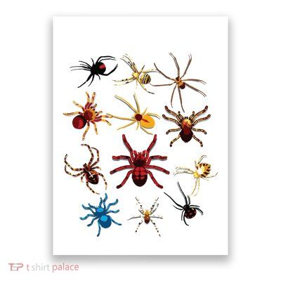 Funny Spiders Cute Halloween Scary Spiders Gift Poster