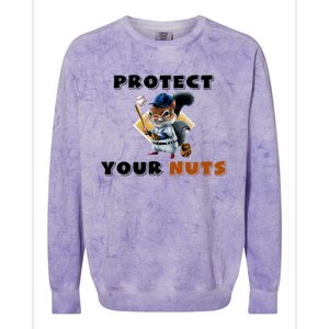 Funny Squirrel Catcher Protect Your Nuts Baseball Gift Colorblast Crewneck Sweatshirt