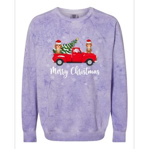 Funny Santa Claus Riding Red Truck Cockapoo Dog Christmas Gift Colorblast Crewneck Sweatshirt