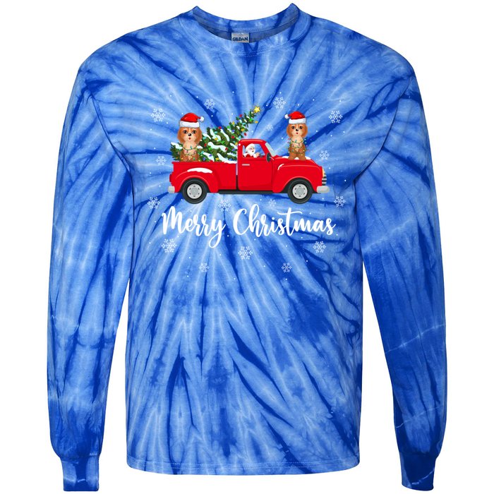 Funny Santa Claus Riding Red Truck Cockapoo Dog Christmas Gift Tie-Dye Long Sleeve Shirt