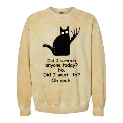 Funny Sarcastic Cat Have I Scratched Anyone Today Black Cat Colorblast Crewneck Sweatshirt