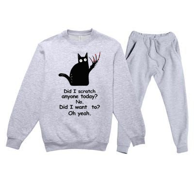 Funny Sarcastic Cat Have I Scratched Anyone Today Black Cat Premium Crewneck Sweatsuit Set