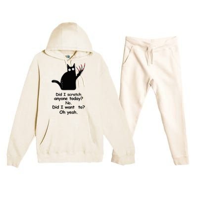 Funny Sarcastic Cat Have I Scratched Anyone Today Black Cat Premium Hooded Sweatsuit Set