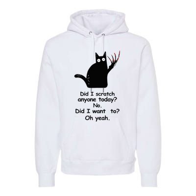 Funny Sarcastic Cat Have I Scratched Anyone Today Black Cat Premium Hoodie