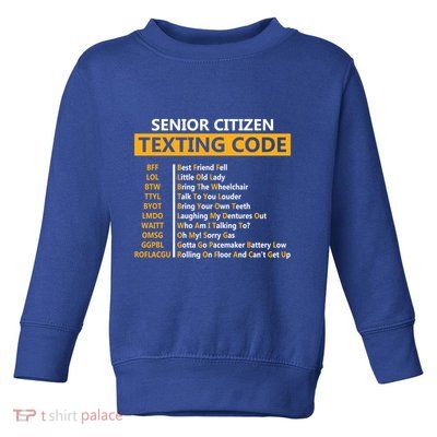 Funny Senior CitizenS Texting Code Design Gift For Grandpa Gift Toddler Sweatshirt