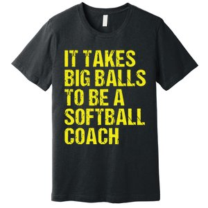 Funny Softball Coach Gift Softball Coach Tee Premium T-Shirt