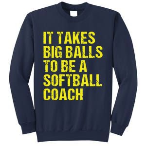 Funny Softball Coach Gift Softball Coach Tee Sweatshirt