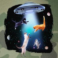 Funny Space Cats Abduction Whimsical Ufo Design Legacy Tie Dye Trucker Hat
