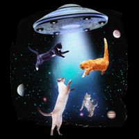 Funny Space Cats Abduction Whimsical Ufo Design Sustainable Bucket Hat
