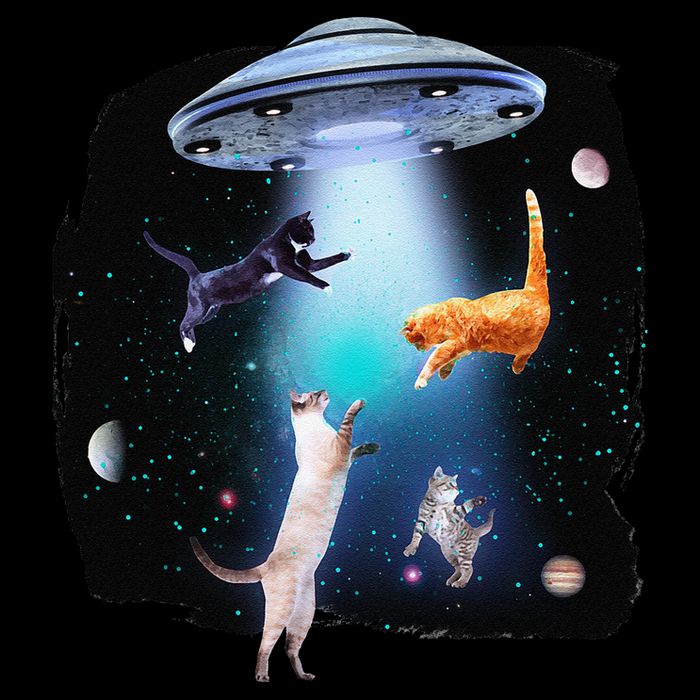 Funny Space Cats Abduction Whimsical Ufo Design Sustainable Bucket Hat