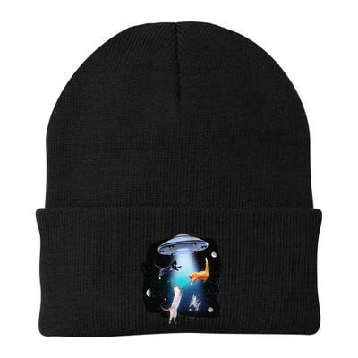 Funny Space Cats Abduction Whimsical Ufo Design Beanie