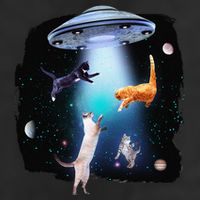 Funny Space Cats Abduction Whimsical Ufo Design Beanie