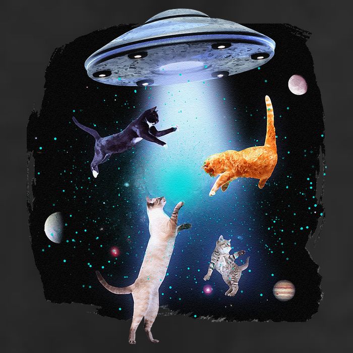 Funny Space Cats Abduction Whimsical Ufo Design Beanie