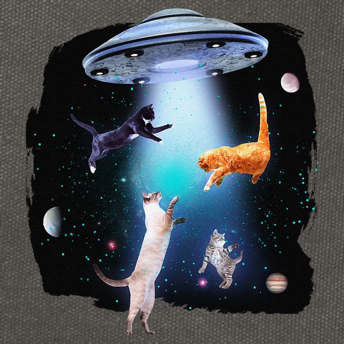 Funny Space Cats Abduction Whimsical Ufo Design Cotton Canvas Backpack