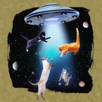 Funny Space Cats Abduction Whimsical Ufo Design Garment-Dyed Women's Muscle Tee