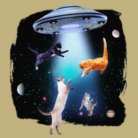 Funny Space Cats Abduction Whimsical Ufo Design Cooling Performance Long Sleeve Crew