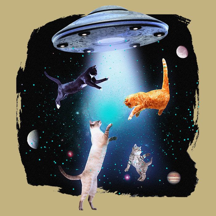 Funny Space Cats Abduction Whimsical Ufo Design Cooling Performance Long Sleeve Crew