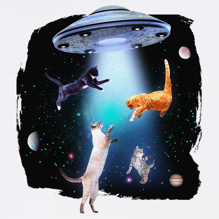 Funny Space Cats Abduction Whimsical Ufo Design Garment-Dyed Sweatshirt