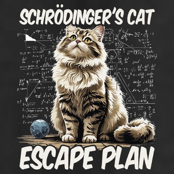 Funny SchröDingerS Cat Science .Png Cool Comfort Performance Bucket Hat