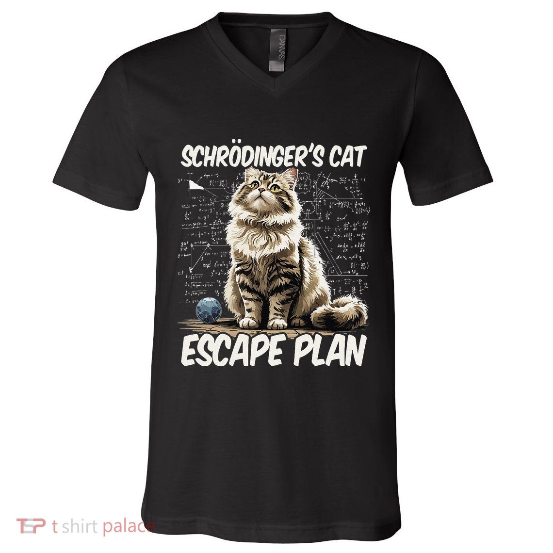 Funny SchröDingerS Cat Science .Png V-Neck T-Shirt